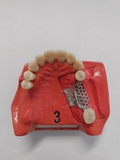 go dent gebraucht kaufen  Erbendorf