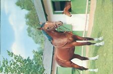 Horses stables for sale  ROSSENDALE