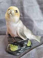 Raven. lovely cute for sale  KESTON