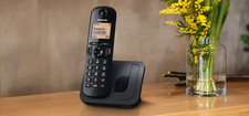 Panasonic telefono cordless usato  Gela