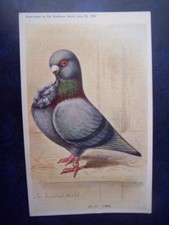 Ephemera aids amateur for sale  UK