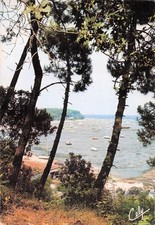 Bassin arcachon exchanger d'occasion  Expédié en Belgium