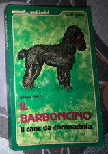 Barboncino cane compagnia usato  San Lazzaro di Savena