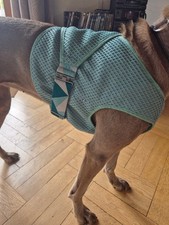 Kühlweste hurtta hund gebraucht kaufen  Neuhausen