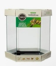 Gallon hexagon terrarium for sale  New York