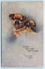 Postcard young griffons for sale  LLANFAIRFECHAN