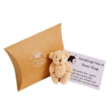 A Little Pocket Bear Hug x1 comprar usado  Enviando para Brazil