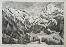 Säntis schafberg hans gebraucht kaufen Säntis schafberg hans gebraucht kaufen  Deutschland