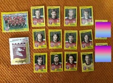 Figurine panini 1996 usato  Porto Cesareo