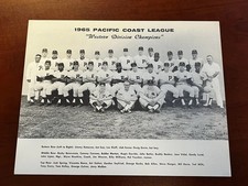 Vintage 1965 portland for sale  Danville