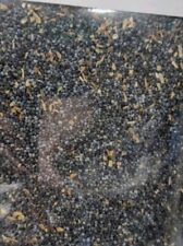 Poppy seeds lb for sale  Plattsburgh