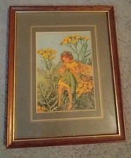 Tansy flower fairy for sale  CAMBERLEY