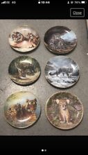 Collectors tiger china for sale  LONGFIELD