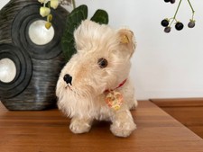 Steiff hund vorkrieg gebraucht kaufen Steiff hund vorkrieg gebraucht kaufen  Bünde