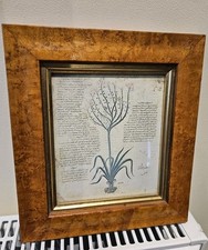 botanical art for sale botanical art for sale COULSDON