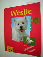 Hund rasse westie gebraucht kaufen  Niederfischbach