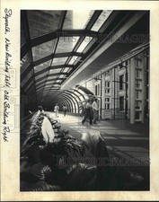 1982 press photo for sale  Memphis