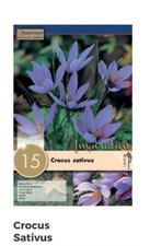 Bulbi crocus sativus usato  Villarbasse