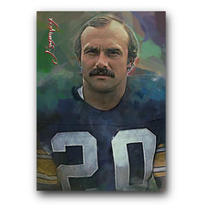 Rocky bleier art for sale  Richland
