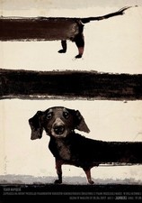 Plakat Jamnik Dachshund 100 x 70 cm prezent dla przyjaciela pies piesek na sprzedaż  PL