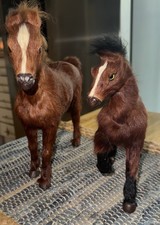 Vintage real hair for sale  NEWPORT