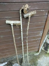 Three hazel shanks for sale  STRABANE