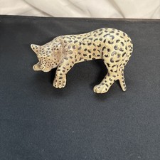 Cheetah leopard cat for sale  North Scituate