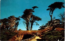 Carmel mile drive for sale  Sarver