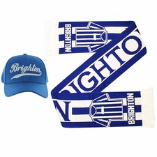 Brighton football fans for sale  ILFORD