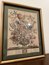Robert furber months for sale  Wilmington