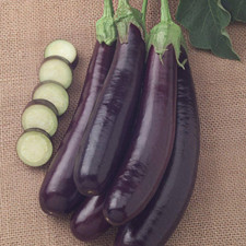 2.5 eggplant hansel for sale  Denver