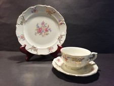 Sammeltasse sammelgedeck teili gebraucht kaufen  Westoverledingen