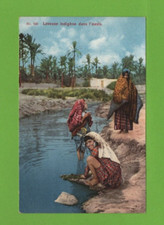 Lavadora Indígena En La Oasis (Ref. L7925) comprar usado  Enviando para Brazil