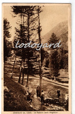 Cartolina epoca torino usato Cartolina epoca torino usato  Valsavarenche