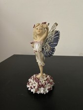 Fairy way birthday for sale  CHATHAM