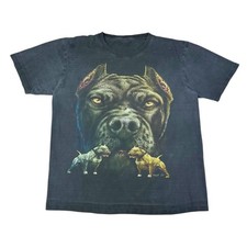 Vintage american bully for sale  PAISLEY