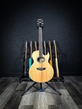 Washburn festival ea20s for sale  Springfield