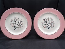 Rare pink homer for sale  Hernando