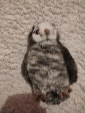 Hedgewitch owl harry for sale  RUGBY