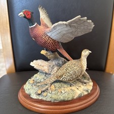 border fine arts birds for sale border fine arts birds for sale BURY ST. EDMUNDS