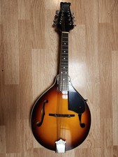 Alvarez mandolin used for sale  Harrietta