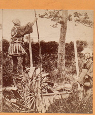 Roda d'água japonesa movida a pé de trabalho.  Foto estéreo comprar usado Roda d'água japonesa movida a pé de trabalho.  Foto estéreo comprar usado  Enviando para Brazil