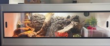 6 foot vivarium for sale 6 foot vivarium for sale SHEFFIELD