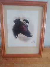Brilliant limited edition for sale  BLACKBURN