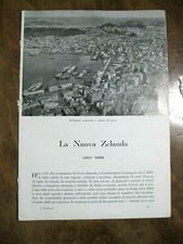 1950 articolo nuova usato  Velletri