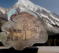 Conk shelf mushroom for sale  Avon Park