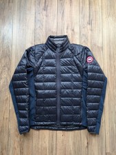 Canada goose hybridge for sale  LEICESTER