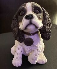 King charles spaniel for sale  GLASGOW