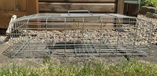 Humane live squirrel for sale  ROTHERHAM