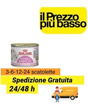 Royal canin mother usato  Sansepolcro